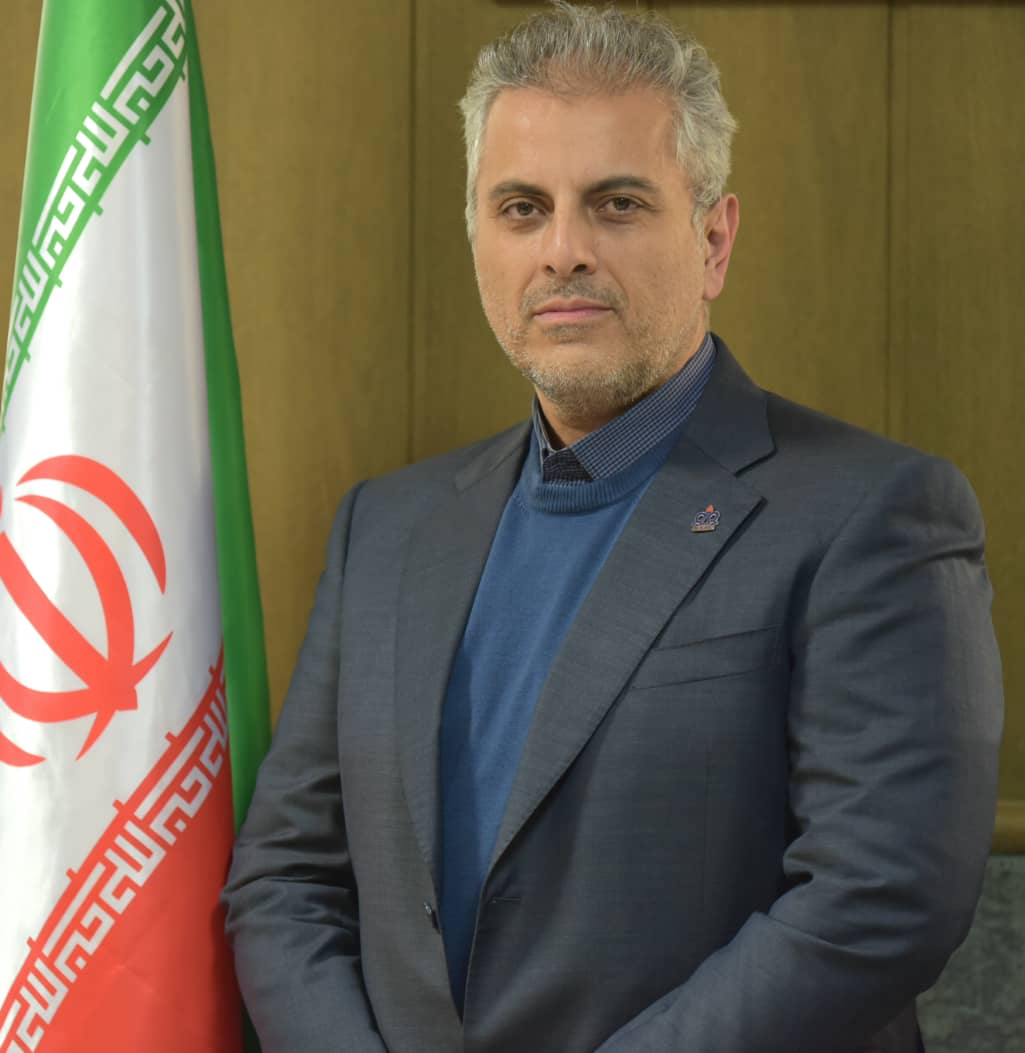 مهندس علیرضا برزین